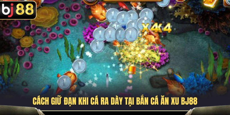 Bí quyết tiết kiệm đạn hiệu quả khi gặp đàn cá đông 