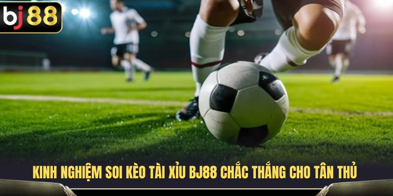 Mẹo phân tích kèo Tài Xỉu hiệu quả dành cho người mới