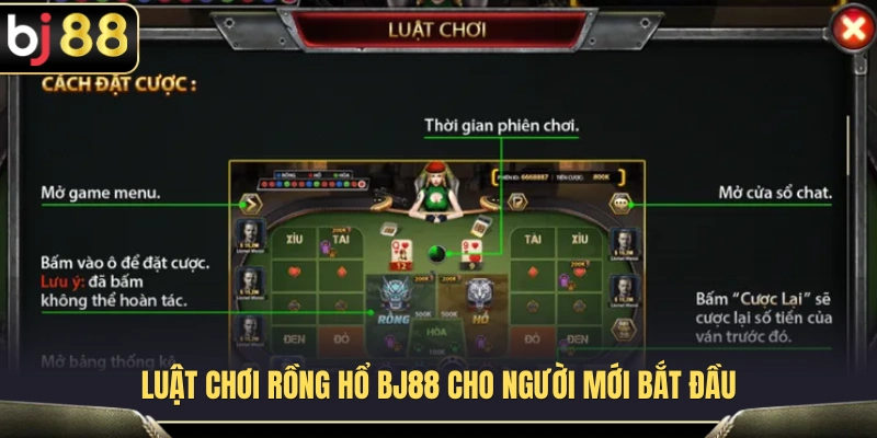 Hướng dẫn làm quen với cơ chế hoạt động của Rồng Hổ